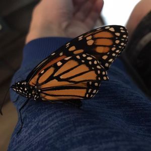 Meet your Posher, Matt